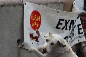 Thank you to the EFH Supporters Club for supporting us all at Kennels, wag, wag!!